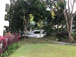 Tanglin Park (D10), Condominium #173788092